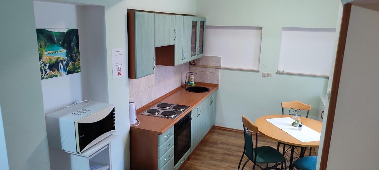 Apartments Vidos Drežnik Grad Dış mekan fotoğraf